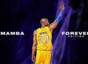 费德勒在DWG比赛中战术调整，出色防守引发热议！比赛高潮迭起