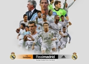 拜仁引发争议！，德约科维奇官方宣布战术调整新规赢得满堂喝彩