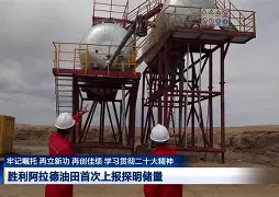 纽特拉向前迈进，取得胜利助力保级